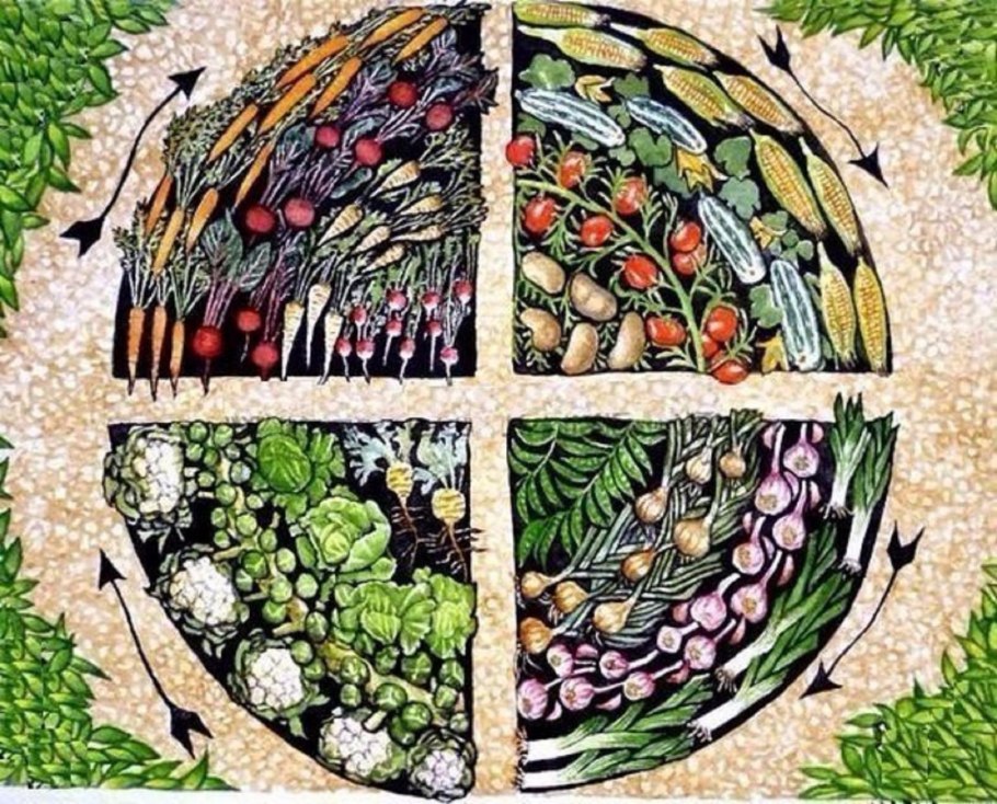 Зернотравяной севооборот