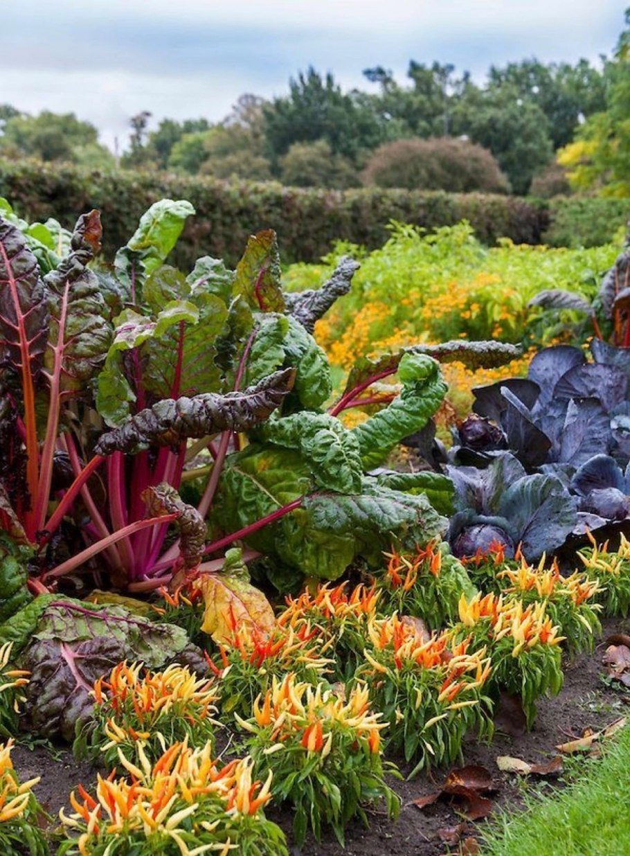 Грядки для зелени