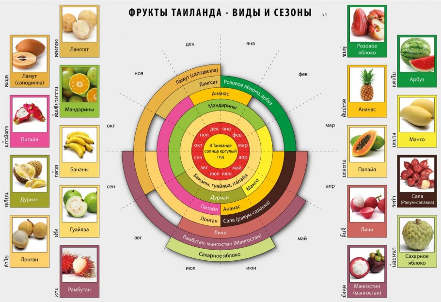 Сезонность овощей и фруктов таблица Россия