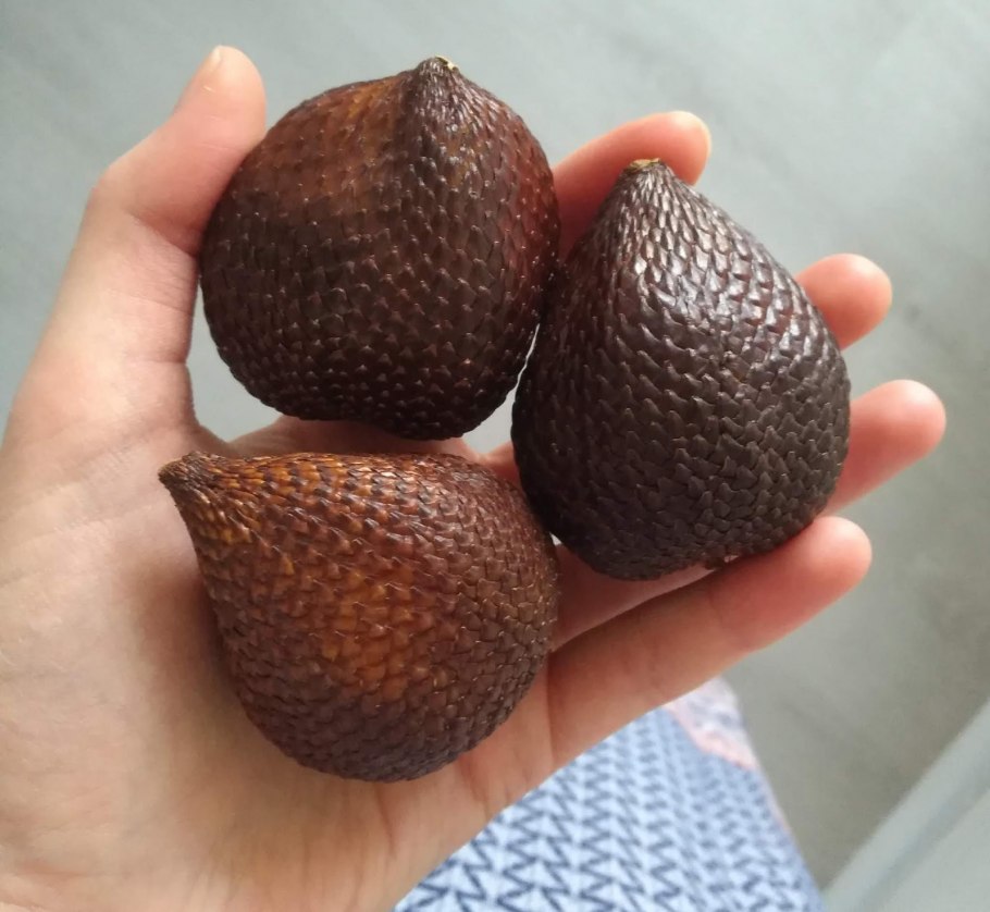 Салак «змеиный плод»