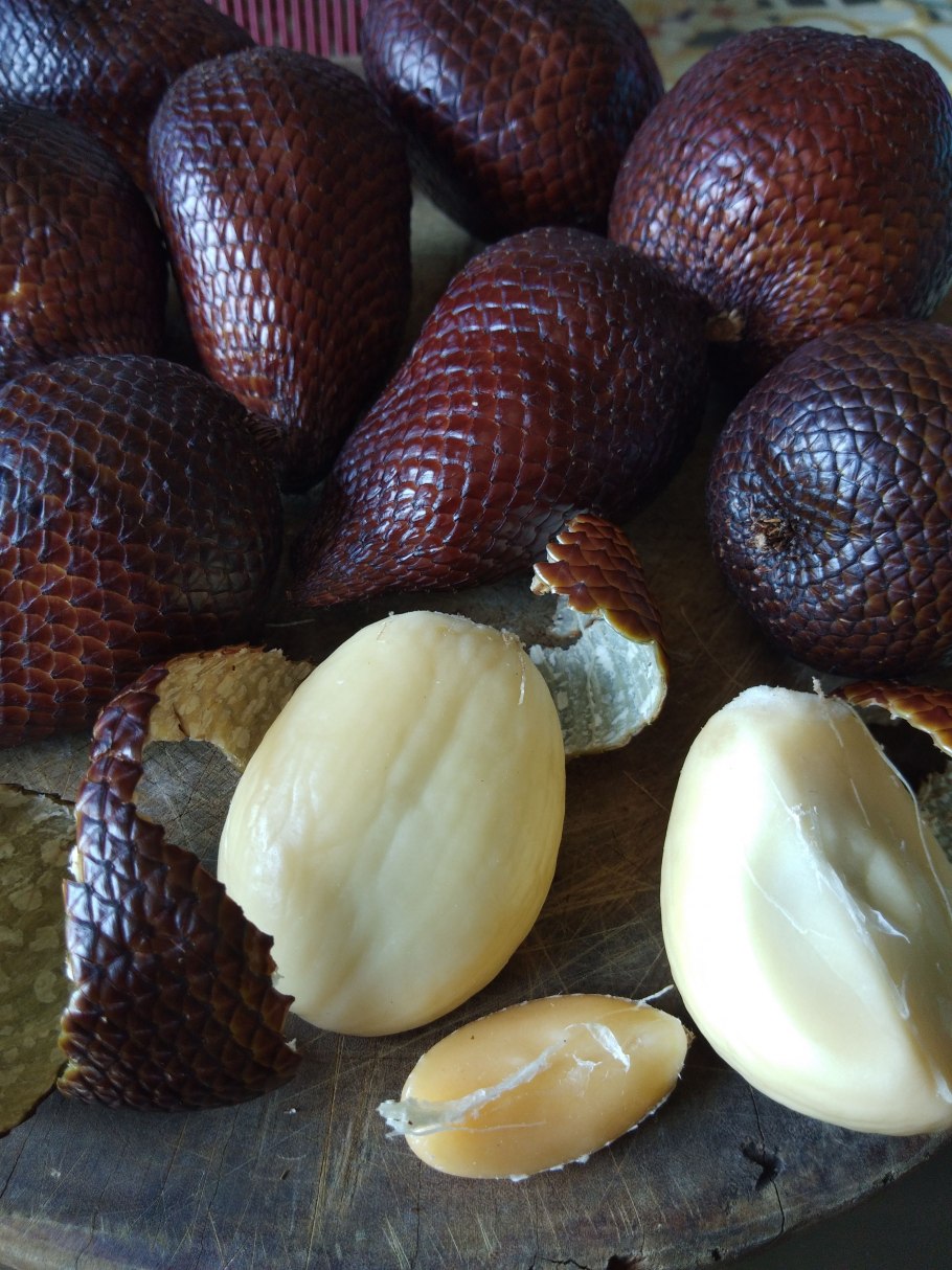 Сала (Салак, ракум, змеиный фрукт