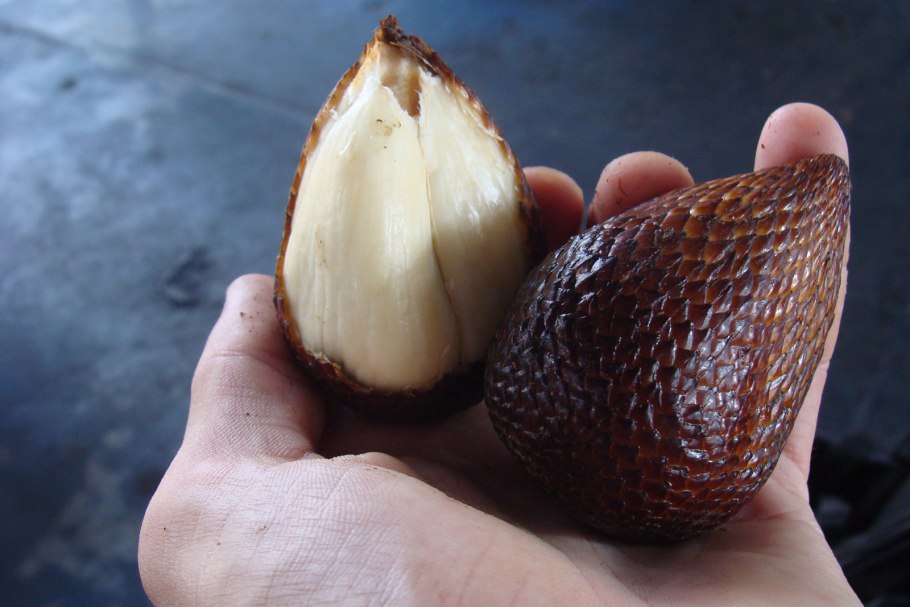 Змеиный фрукт сушеный