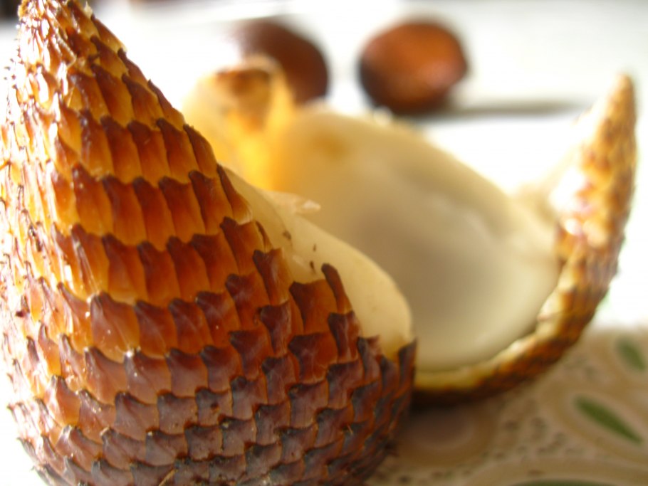 Салак Индонезия