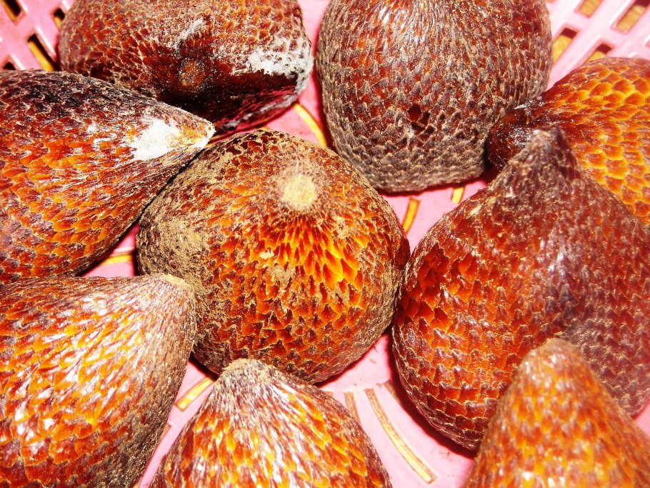 Фрукт салак