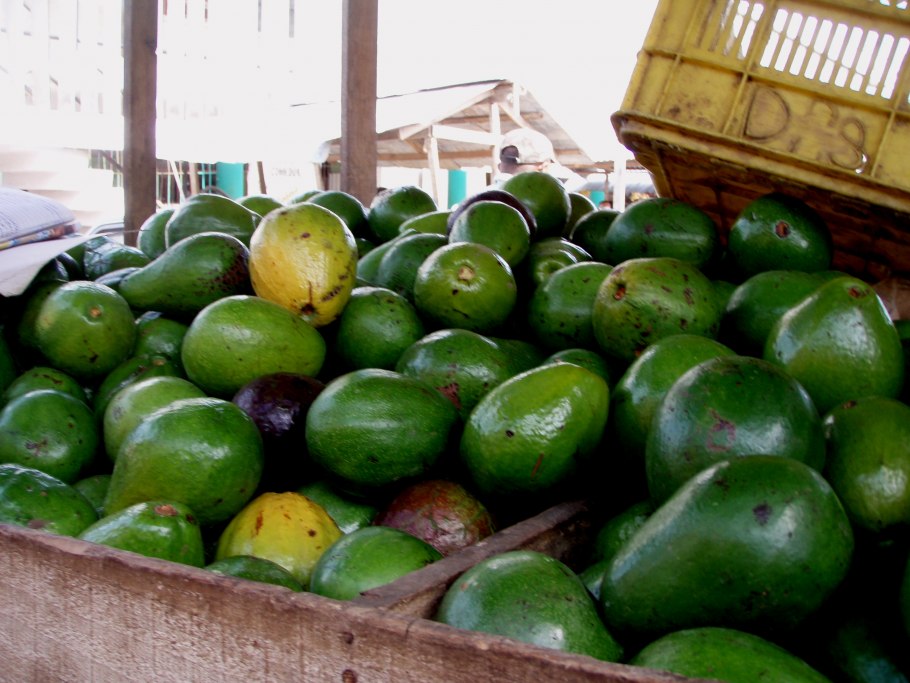 Экзотические фрукты Доминиканы