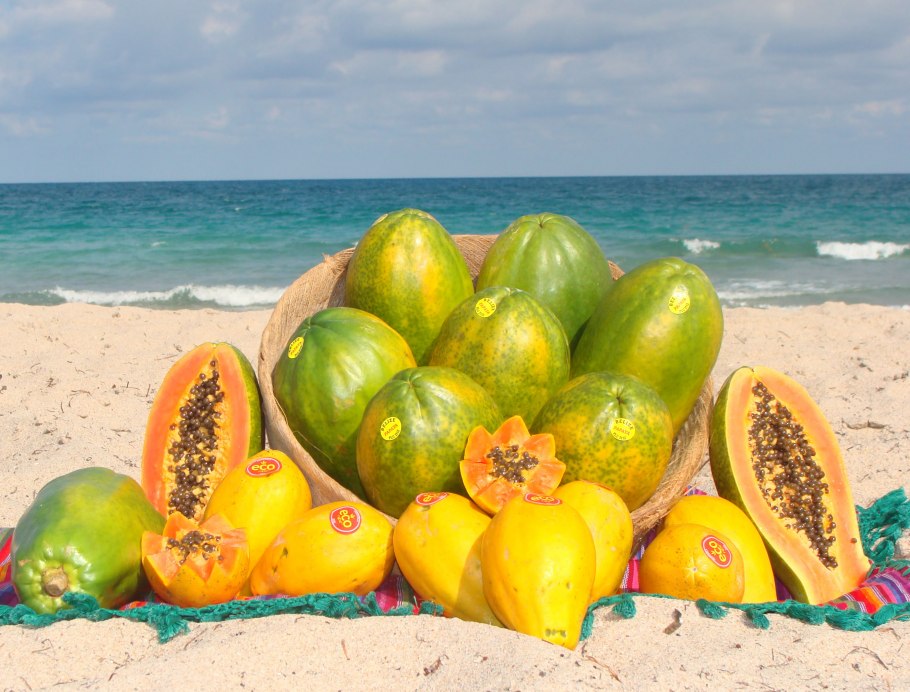 Экзотический фрукт карамбола