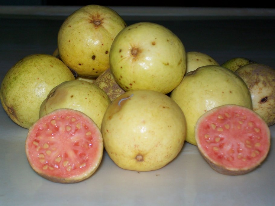 Гуава фрукт в Доминикане