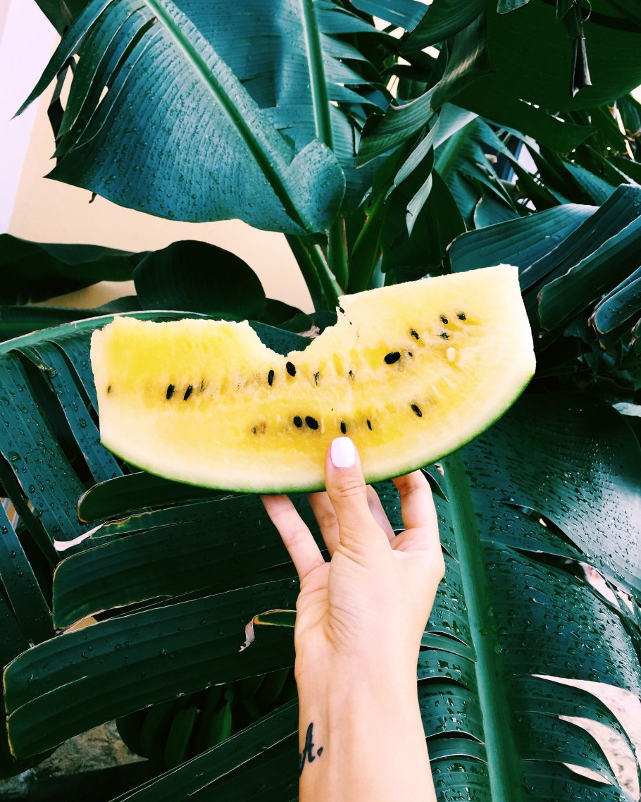 Туры в Доминикану от всех туроператоров Новосибирска