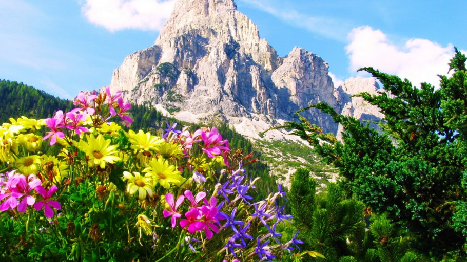 Флора Италии