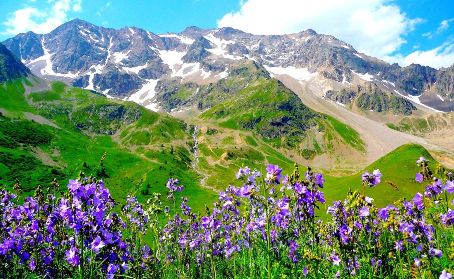 Альпийские Луга Франции