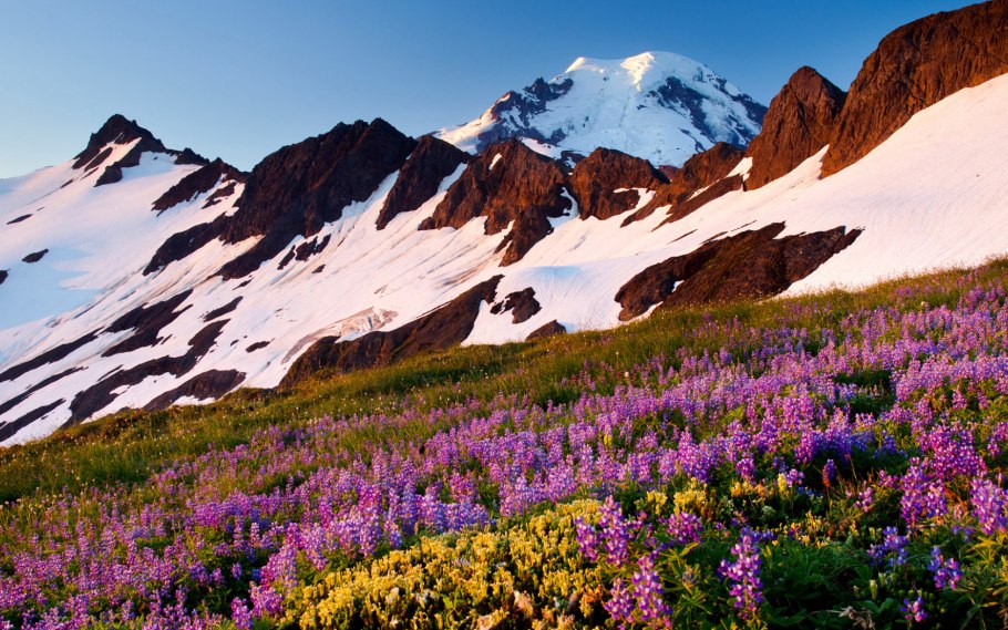 Улудаг Альпийские Луга