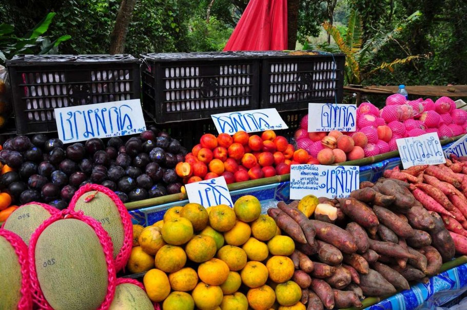 Мангустин питахайя гуава