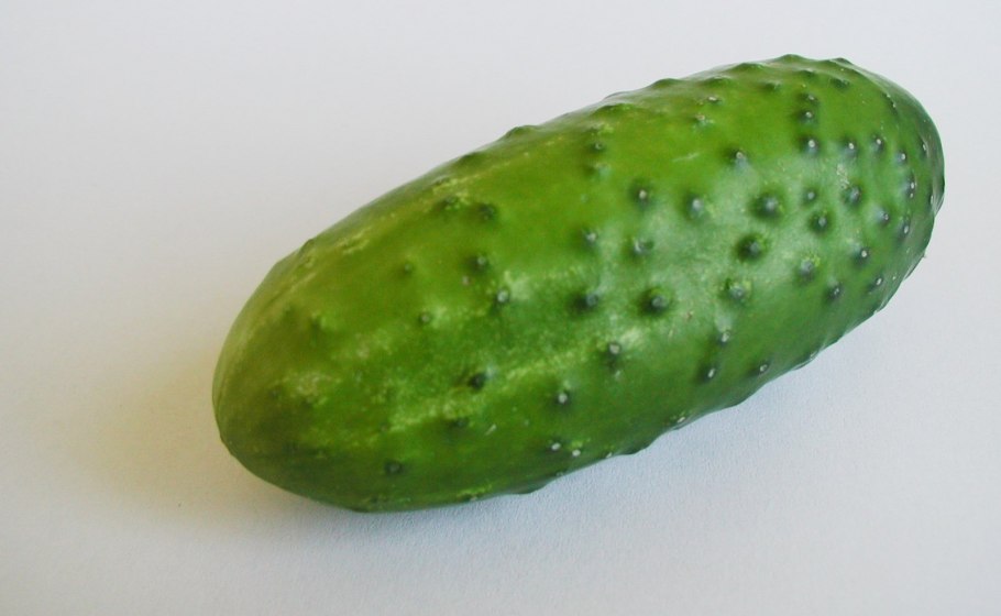 Овощи по отдельности огурцы