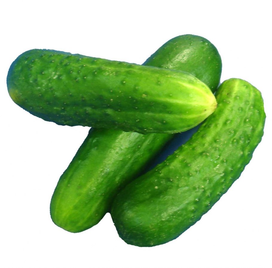 Огурцы пупырчатые среднеплодные