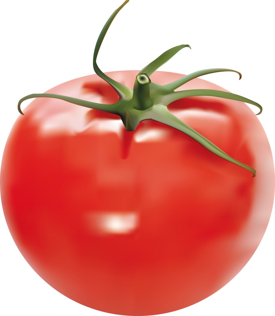 Помидор на белом фоне