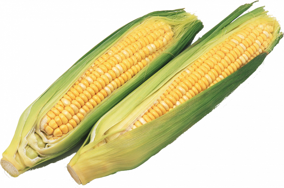 Овощи по отдельности