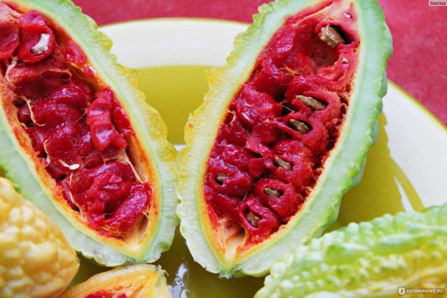 Горькая тыква момордика