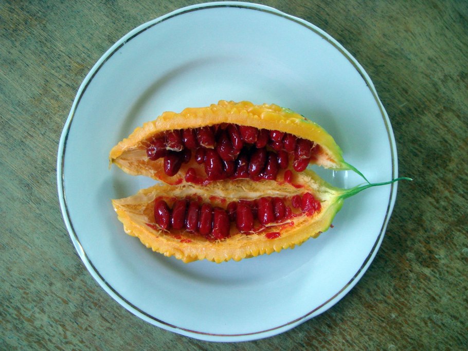 Гранат момордика