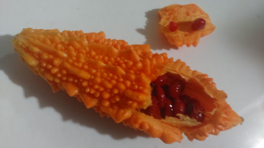 Момордика харанция