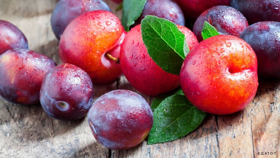 Алыча кустарник