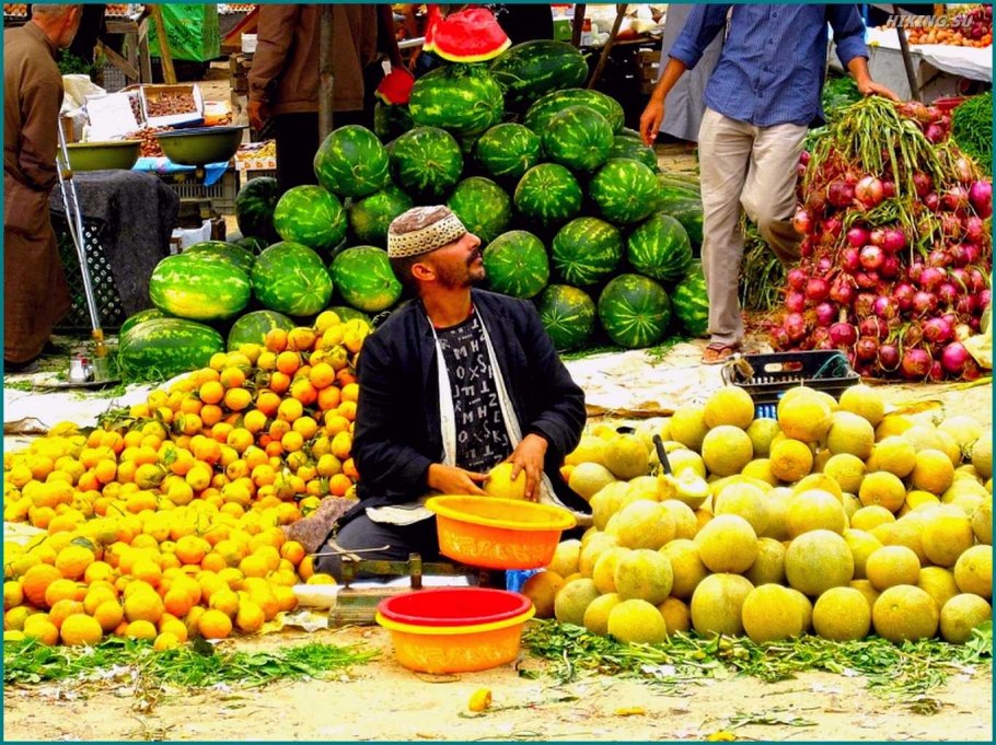 Плантации апельсинов в Марокко
