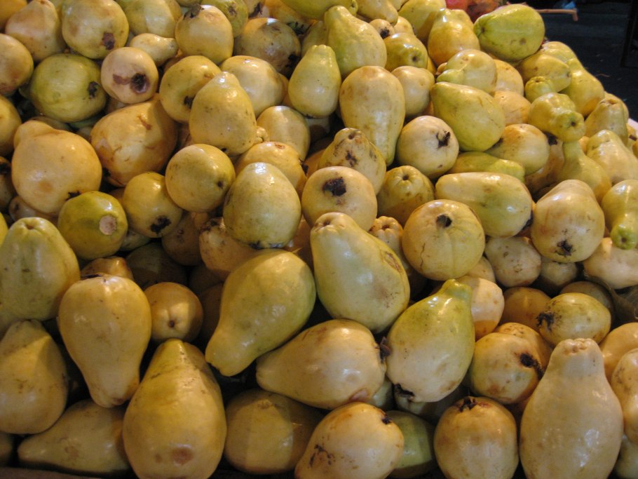 Гуава в Египте