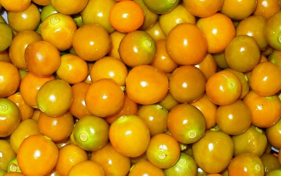 Желтый маленький фрукт в Египте