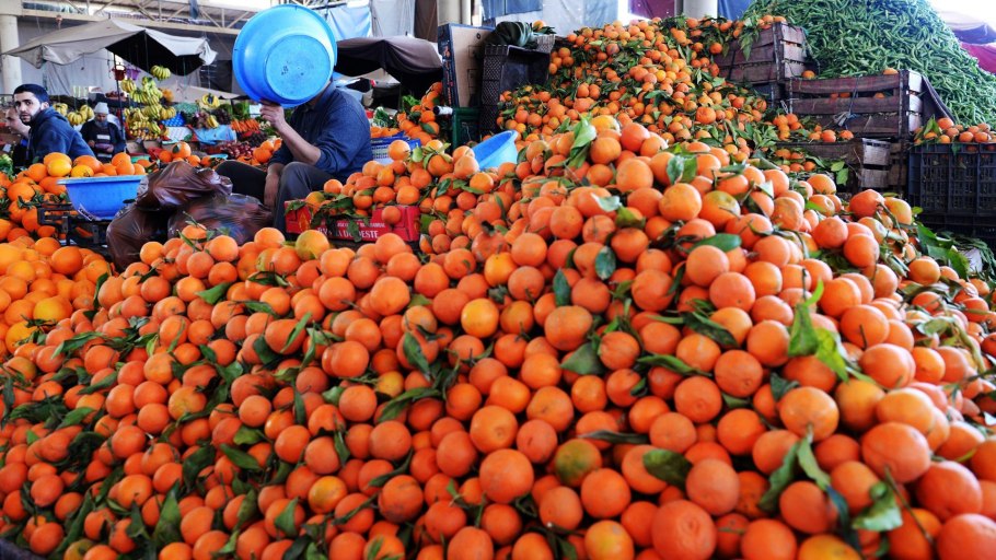 Хозяйство Марокко