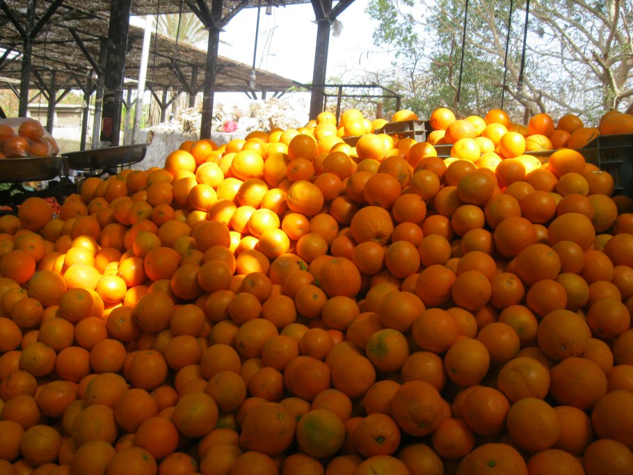 Фрукты из Египта