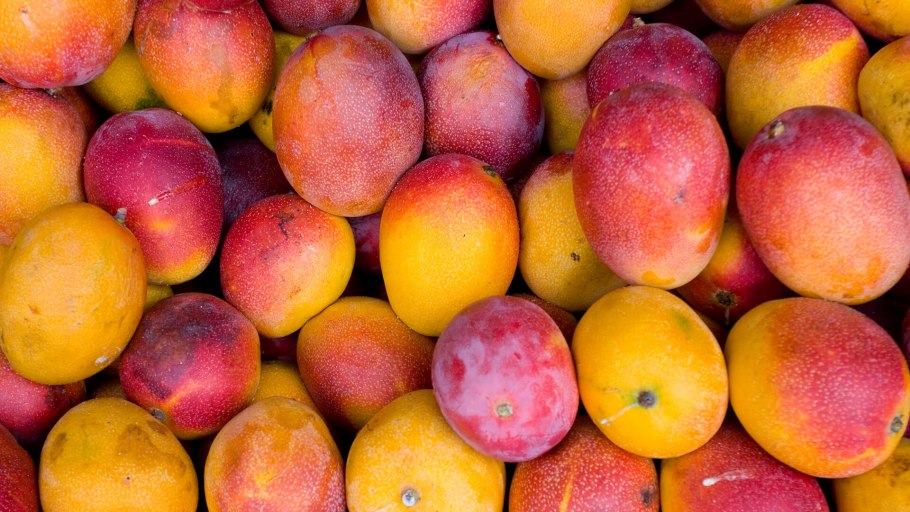 Манго фрукт Египетский