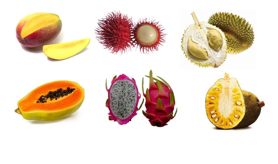 Маракуйя Северная