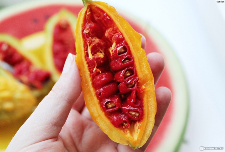 Что такое драгон фрукт питахайя