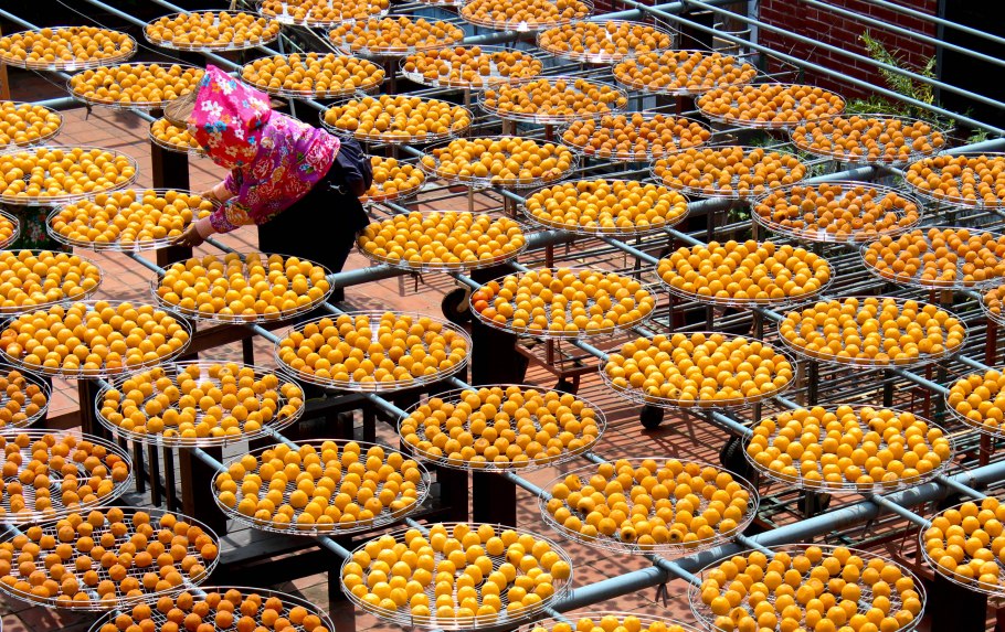 Фрукт джекфрут