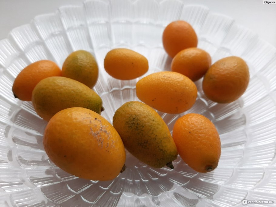 Artfruit кумкват