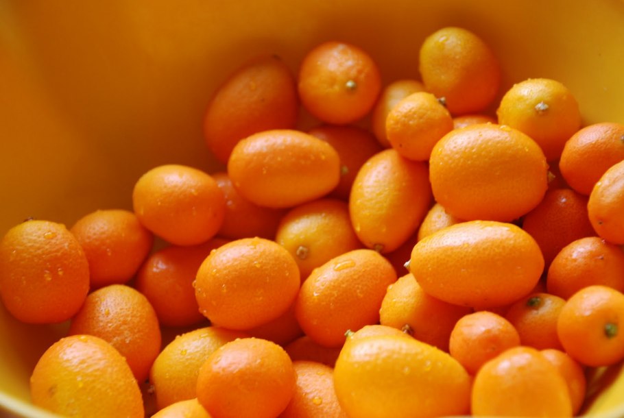 Маленький мандарин кумкват