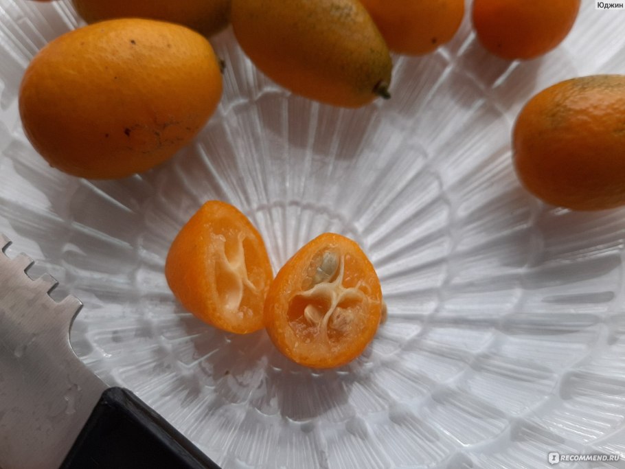 Ягода кумкват