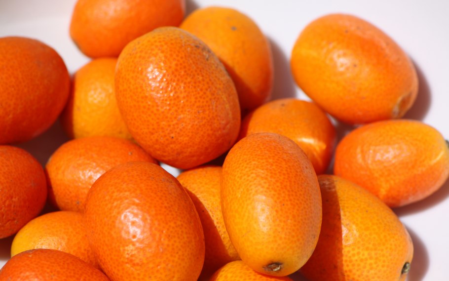 Кинкан кумкват фрукт