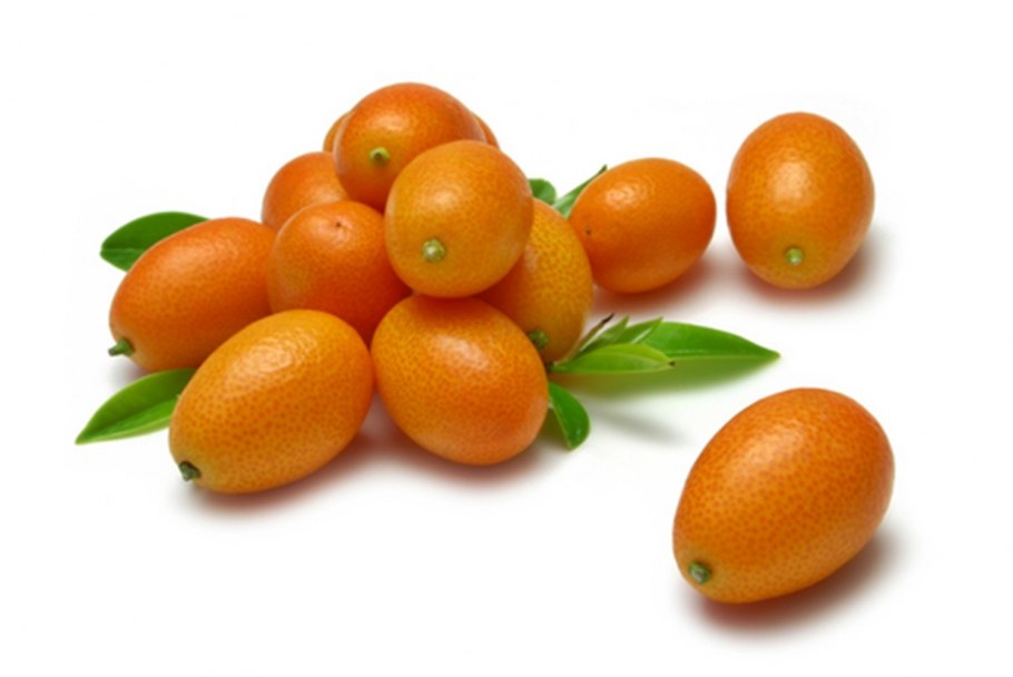 Кумкват недоспелый