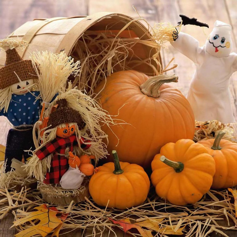 Осенний урожай