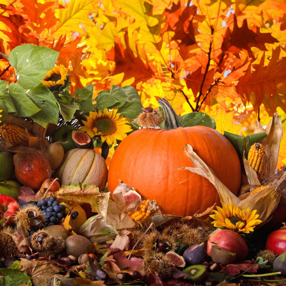 Плоды осени