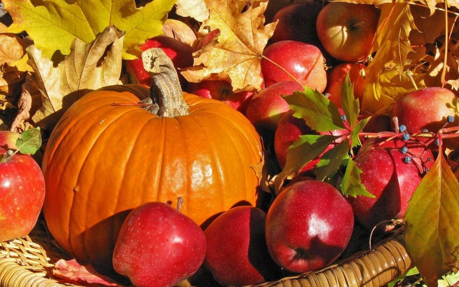 Осенние дары природы