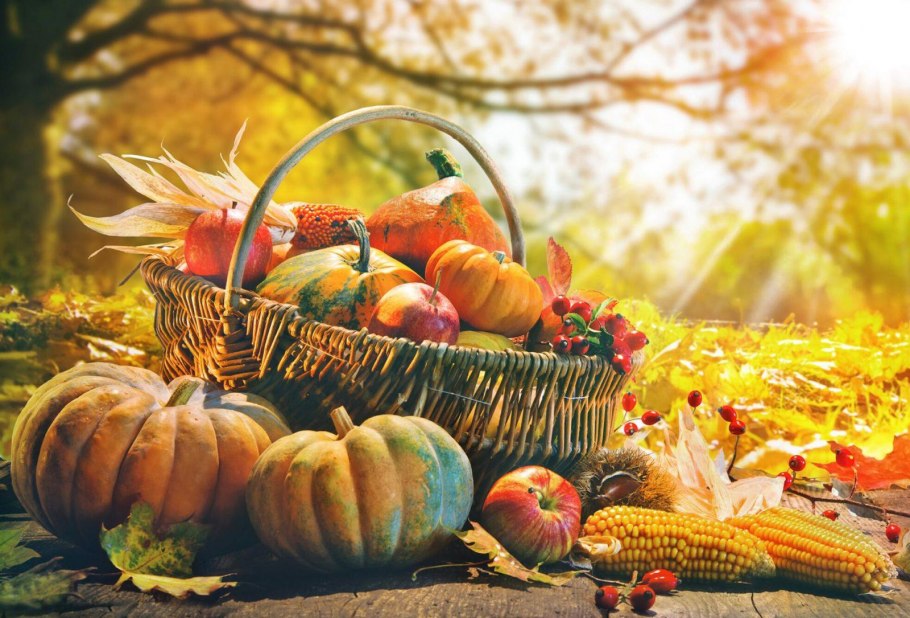 Осенняя ярмарка