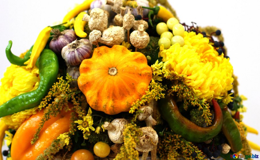 Осенние овощи названия