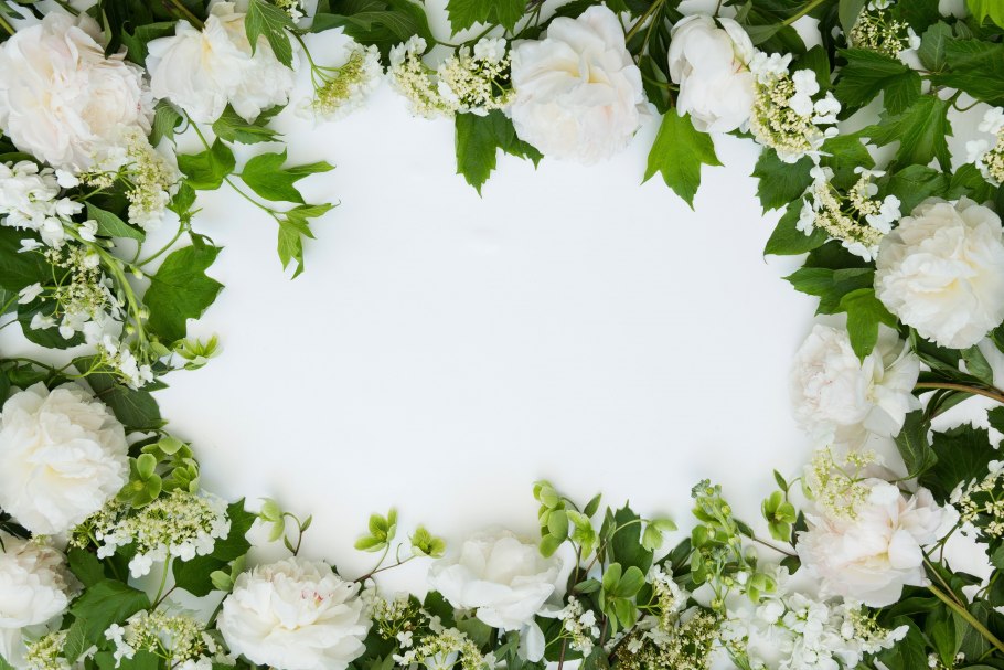 Фон с белыми цветами