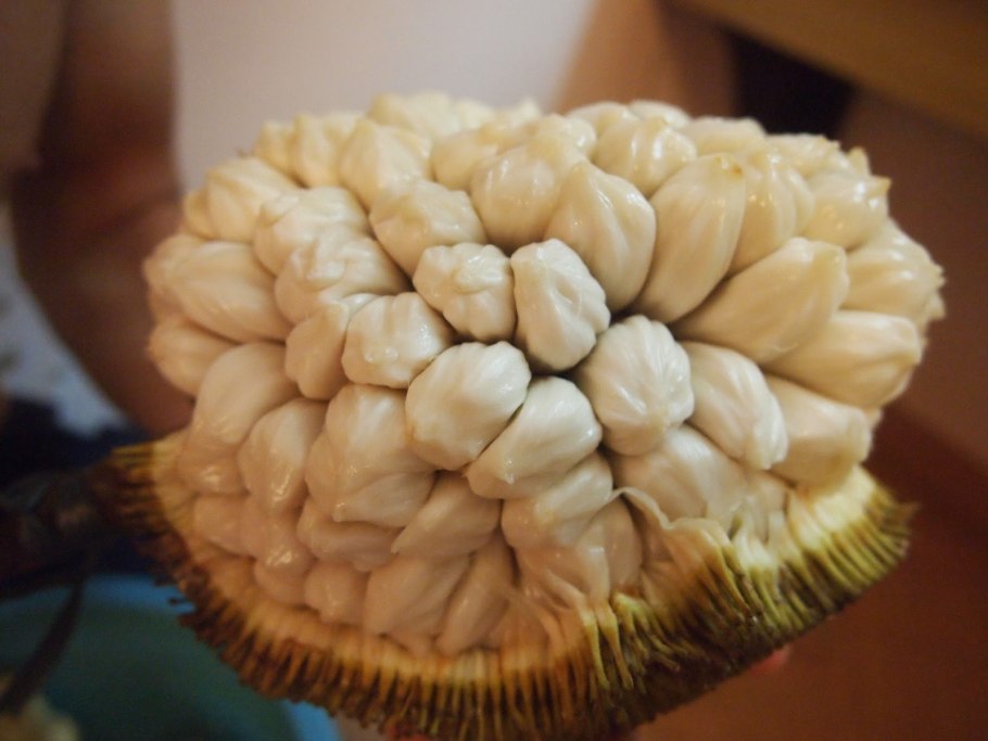 Маранг плод