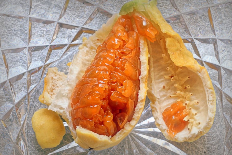 Момордика харанция плод