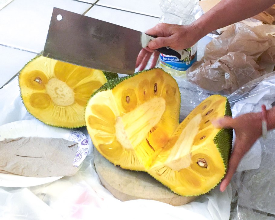 Джекфрут (индийское хлебное дерево)