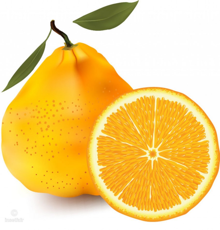 Апельсин на прозрачном фоне