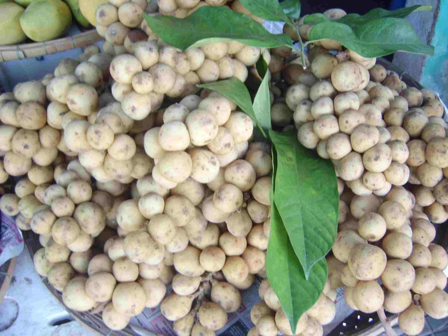 Тайские фрукты лангсат