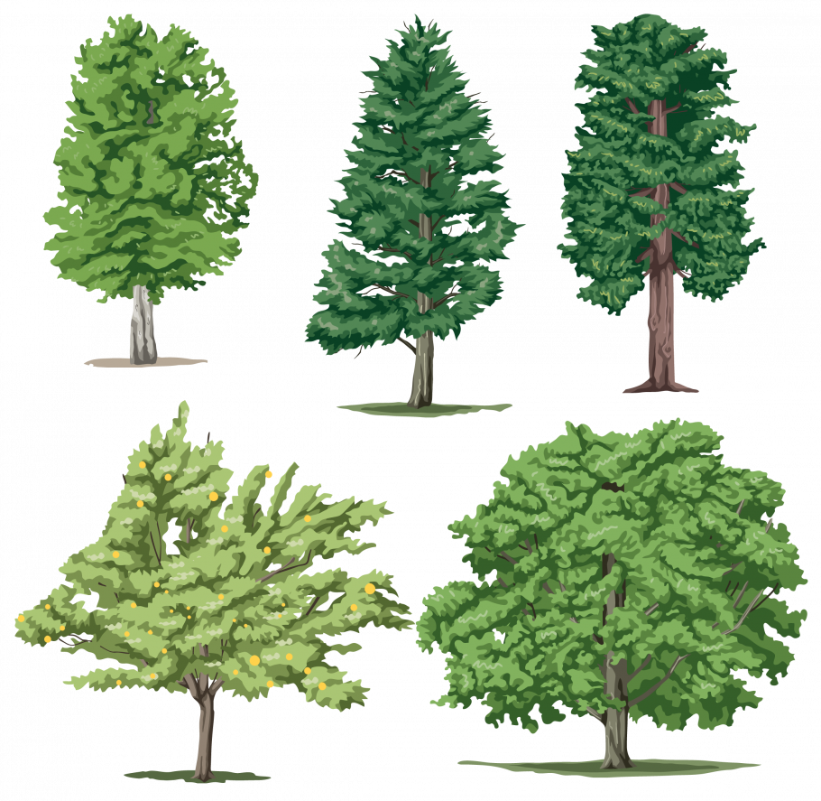 Векторное дерево